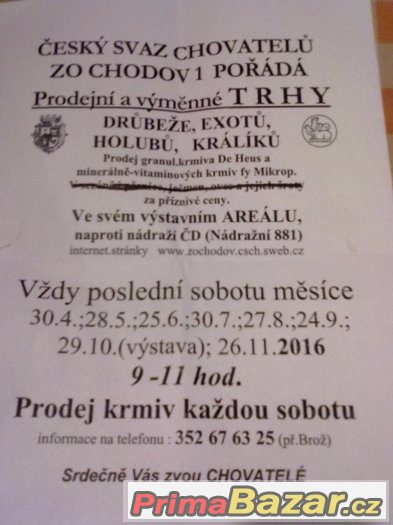 TRHY-CHODOV SOKOLOV – fotografie 1