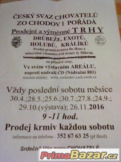 TRHY-CHODOV SOKOLOV – fotografie 2