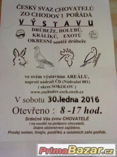 VYSTAVA CHODOV 1 SOKOLOV – fotografie 2