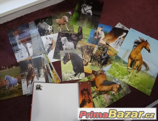 20 x nové osmisměrky – fotografie 4