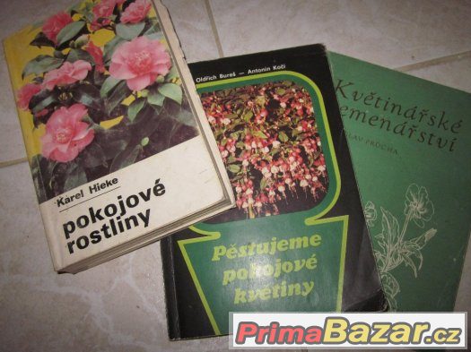 Prodám knihy o pokojových květinách – fotografie 3