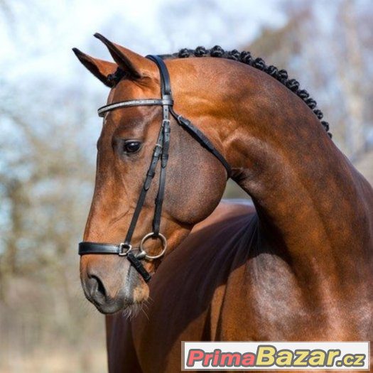 uzdečka PONY - nová – fotografie 1