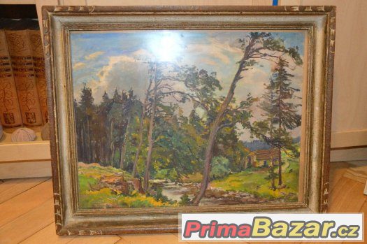Obraz č.9 malovaný,rám – fotografie 3