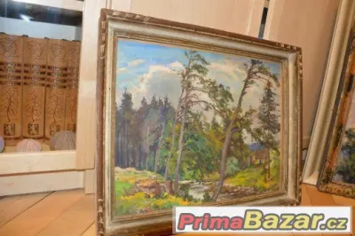 Obraz č.9 malovaný,rám