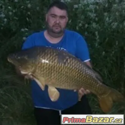 Dobrý den. Měl bych zájem o práci řidiče B nebo  C