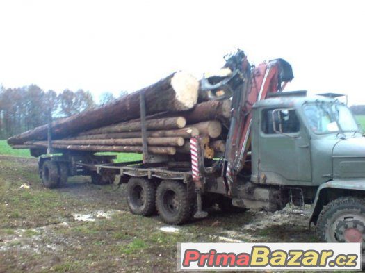 nabizim praci,brigadu v lesnictvi s motorovou pilou – fotografie 1
