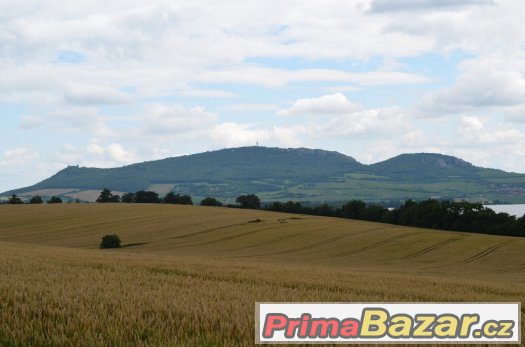Poctivé moravské víno ze Zaječí – fotografie 1
