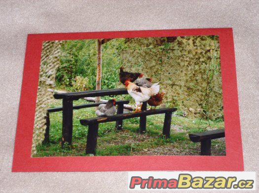Sada ručně vyrobených přání – fotografie 2