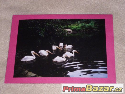 Sada ručně vyrobených přání – fotografie 5