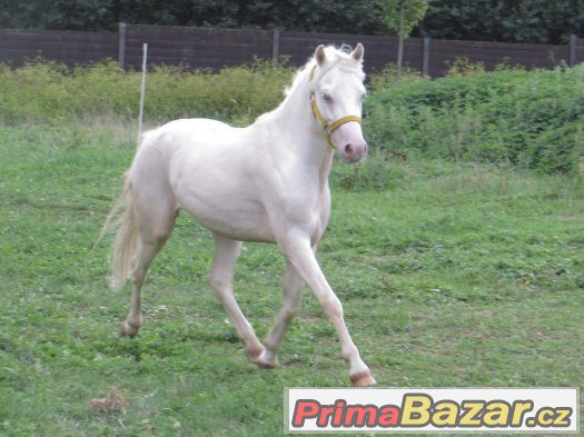 super spor´táček pro dítě  do vyššího sportu – fotografie 1