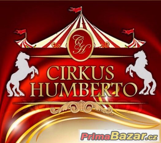 Práce v cirkusu Humberto – fotografie 1