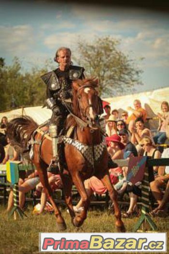 pomocny dělník  prace s ubytovanim – fotografie 3