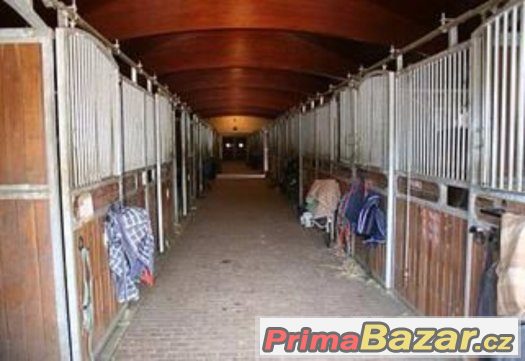Hledáme stájníka/ošetřovatele koní – fotografie 2