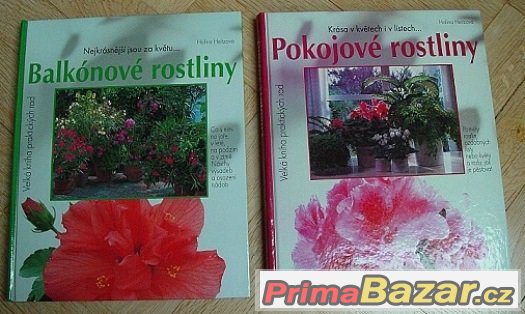 Pokojové, balkonové rostliny, okrasné stromy, trvalky 13 ks – fotografie 1