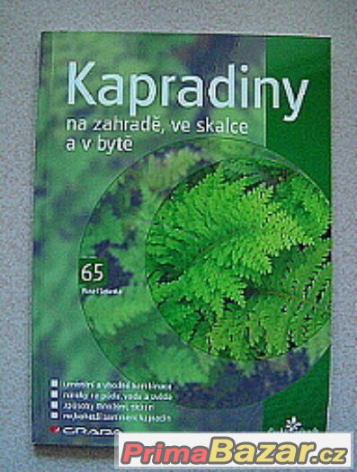Pokojové, balkonové rostliny, okrasné stromy, trvalky 13 ks – fotografie 4
