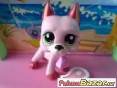 scháním lps dogu