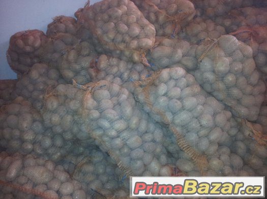Prodej brambor a cibule – fotografie 3