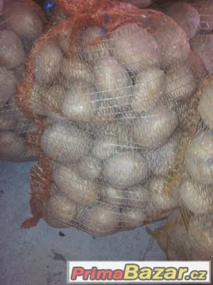 Prodej brambor a cibule