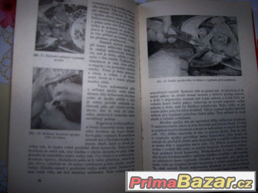 KNÍŽKA JAWA – fotografie 1