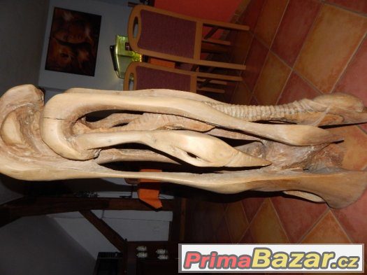 prodej soch cena dle domluvy – fotografie 2