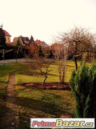 Ideální polovina RD – fotografie 4