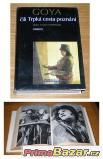 Goya - Lion Feuchtwanger – fotografie 1