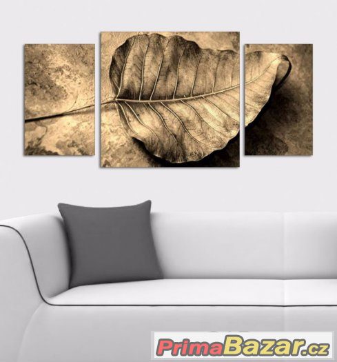 Obraz - LIST - velikost 120x60 cm – fotografie 1