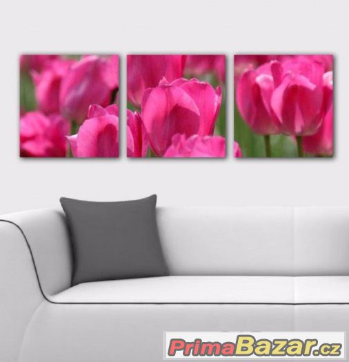 Trojdílné panorama - RŮŽOVÉ TULIPÁNY - velikost 90x30 cm – fotografie 1