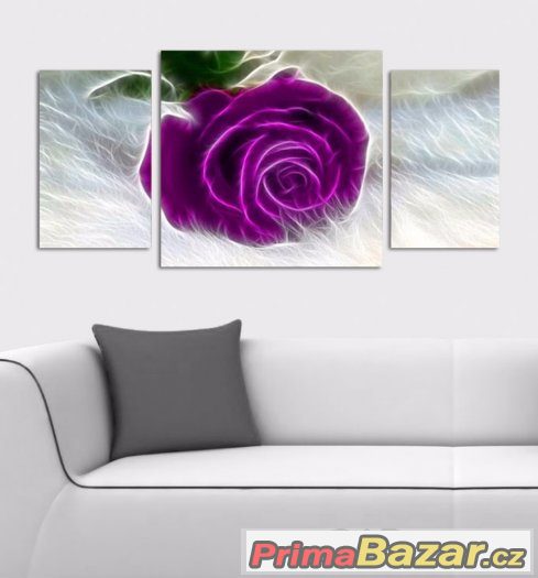 Obraz - FIALOVÁ RŮŽE - velikost 120x60 cm – fotografie 1