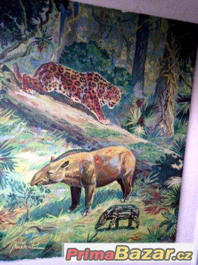 50x40 cm originál M.MUŠKÁT olej na plátně Tapír a Jaguár – fotografie 2