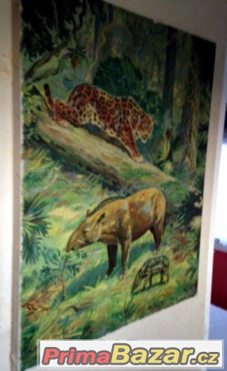 50x40 cm originál M.MUŠKÁT olej na plátně Tapír a Jaguár – fotografie 3