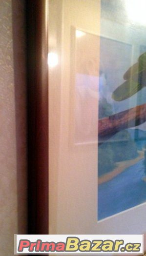 AMAZOŇAN - papoušci - 52x42 cm originál od malíře M.MUŠKÁTA – fotografie 5