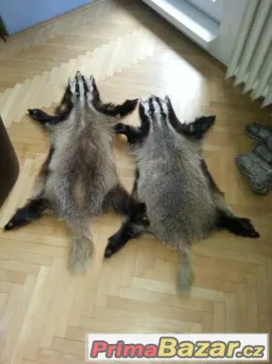 Kůže jezevec
