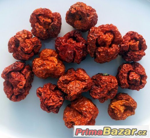 Trinidad Scorpion Moruga - mleté chilli a sušené celé plody – fotografie 2