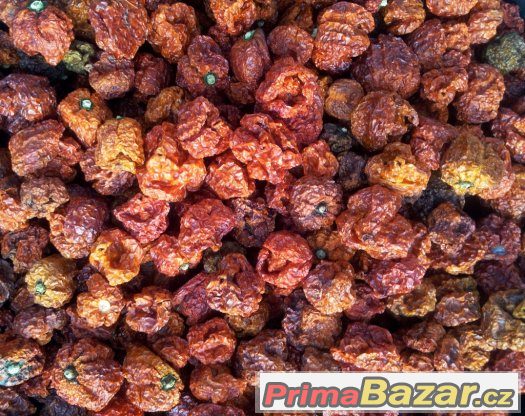 Trinidad Scorpion Moruga - mleté chilli a sušené celé plody – fotografie 3