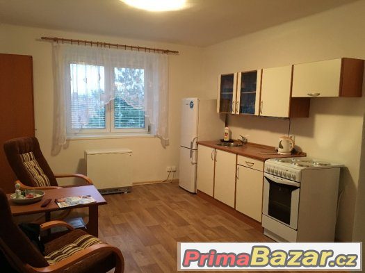 Prodej DR bytu 2+1+L Americká, Teplice – fotografie 5