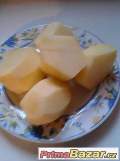 Jablka - brambory - cibule - česnek - Chřibská – fotografie 2