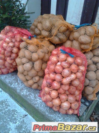 Jablka - brambory - cibule - česnek - Chřibská – fotografie 3