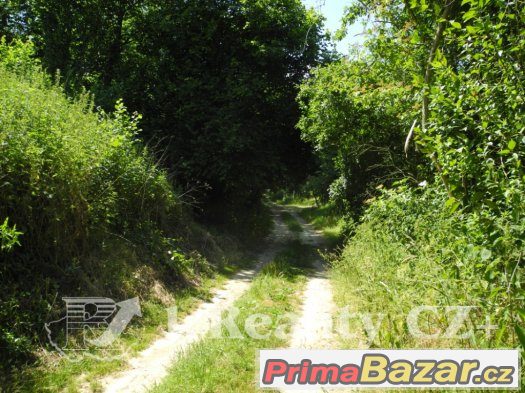 Prodej zahrady 759 m2, Otaslavice – fotografie 2