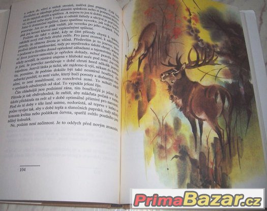 S vůní pryskyřice,J.Pohl – fotografie 5