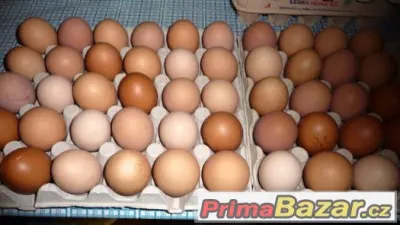 Vejce z domácího chovu