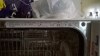 Myčka nádobí malá - Bosch