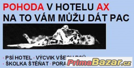 Hlídání psů - ubytování v psím hotelu AX – fotografie 1