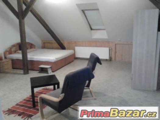 Byt 1+kk, Loft, Zahrada, Staré Brno – fotografie 2