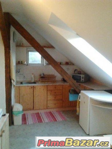 Byt 1+kk, Loft, Zahrada, Staré Brno – fotografie 3