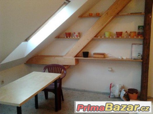Byt 1+kk, Loft, Zahrada, Staré Brno – fotografie 4