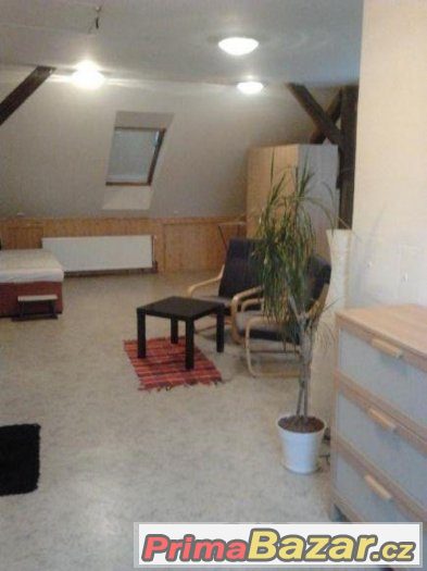 Byt 1+kk, Loft, Zahrada, Staré Brno – fotografie 5