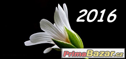 Stolní kalendář Příroda NOVÉ – fotografie 1