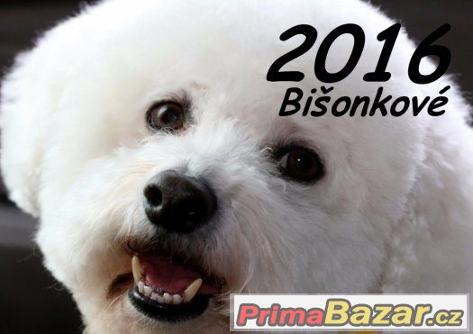 Kalendář Bišoňkové 2016 - NOVÉ (začíná únorem) – fotografie 1