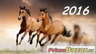 Kalendář Koně 2016 NOVÉ - začíná únorem